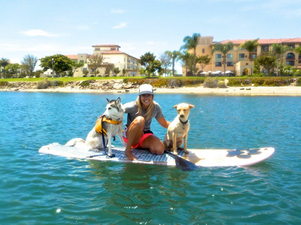 How to SUP with Your Dog | SUP Pups San Diego SUP Connection
