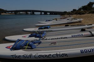 Sup rentals near me, sup rentals, sweetwater sup rentals, sup classes, sup classes near me, best sup classes in san diego, sup rentals in san diego, where to find sup rentals in san diego, sup boarding near me, best sup boarding alternatives near me, sup lessons, sup paddling in san diego, best sup paddling classes in san diego, paddling lessons, sup boarding, sup lessons, classes sociales sup, paddling socials sup, sup socials in San Diego, sup courses near me, stand up paddle boarding, stand up paddle board, inflatable paddle board, stand up paddle board, inflatable sup board, blow up paddle board, paddle board for sale, paddle board for rent, stand up paddle board inflatable, best inflatable paddle board, body glove inflatable paddle board, paddle board rental san diego, paddle boarding san diego, paddle board rental, sun outdoors san diego bay, san diego bay, paddling san diego bay, sup rentals san diego bay, sup rentals mission bay, mission bay sup rentals, mission bay paddle rentals, mission bay paddling,SUP Rental Rates San Diego, paddle boarding san diego, sup rental, san diego paddle boarding, san diego paddle board, stand up paddle board san diego, paddle board san diego, stand up paddle boarding san diego, san diego kayak rentals, kayak rentals san diego, paddleboard lessons, paddle board rental san diego, san diego paddle board rentals, sup yoga, sup san diego, Sup pups, Sup pups san diego, San diego sup yoga, Sup lesson san diego, Where to paddleboard with your dog , san diego paddleboard lessons, Sup rental san diego, La jolla cove paddleboarding, stand up paddle board lessons san diego, point loma paddleboard rentals, liberty station sup rentals