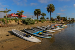 Sup rentals near me, sup rentals, sweetwater sup rentals, sup classes, sup classes near me, best sup classes in san diego, sup rentals in san diego, where to find sup rentals in san diego, sup boarding near me, best sup boarding alternatives near me, sup lessons, sup paddling in san diego, best sup paddling classes in san diego, paddling lessons, sup boarding, sup lessons, classes sociales sup, paddling socials sup, sup socials in San Diego, sup courses near me, stand up paddle boarding, stand up paddle board, inflatable paddle board, stand up paddle board, inflatable sup board, blow up paddle board, paddle board for sale, paddle board for rent, stand up paddle board inflatable, best inflatable paddle board, body glove inflatable paddle board, paddle board rental san diego, paddle boarding san diego, paddle board rental, sun outdoors san diego bay, san diego bay, paddling san diego bay, sup rentals san diego bay, sup rentals mission bay, mission bay sup rentals, mission bay paddle rentals, mission bay paddling,sup club, san diego sup, sup san diego, paddle boarding san diego, sup rental, san diego paddle boarding, san diego paddle board, stand up paddle board san diego, paddle board san diego, stand up paddle boarding san diego, san diego kayak rentals, kayak rentals san diego, paddleboard lessons, paddle board rental san diego, san diego paddle board rentals, sup yoga, sup san diego, Sup pups, Sup pups san diego, San diego sup yoga, Sup lesson san diego, Where to paddleboard with your dog , san diego paddleboard lessons, Sup rental san diego, La jolla cove paddleboarding, stand up paddle board lessons san diego, point loma paddleboard rentals, liberty station sup rentals