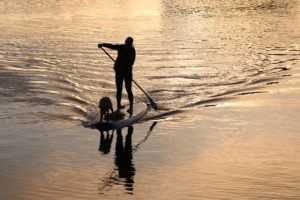 Sup rentals near me, sup rentals, sweetwater sup rentals, sup classes, sup classes near me, best sup classes in san diego, sup rentals in san diego, where to find sup rentals in san diego, sup boarding near me, best sup boarding alternatives near me, sup lessons, sup paddling in san diego, best sup paddling classes in san diego, paddling lessons, sup boarding, sup lessons, classes sociales sup, paddling socials sup, sup socials in San Diego, sup courses near me, stand up paddle boarding, stand up paddle board, inflatable paddle board, stand up paddle board, inflatable sup board, blow up paddle board, paddle board for sale, paddle board for rent, stand up paddle board inflatable, best inflatable paddle board, body glove inflatable paddle board, paddle board rental san diego, paddle boarding san diego, paddle board rental, sun outdoors san diego bay, san diego bay, paddling san diego bay, sup rentals san diego bay, sup rentals mission bay, mission bay sup rentals, mission bay paddle rentals, mission bay paddling,san diego sup, sup san diego, paddle boarding san diego, sup rental, san diego paddle boarding, san diego paddle board, stand up paddle board san diego, paddle board san diego, stand up paddle boarding san diego, san diego kayak rentals, kayak rentals san diego, paddleboard lessons, paddle board rental san diego, san diego paddle board rentals, sup yoga, sup san diego, Sup pups, Sup pups san diego, San diego sup yoga, Sup lesson san diego, Where to paddleboard with your dog , san diego paddleboard lessons, Sup rental san diego, La jolla cove paddleboarding, stand up paddle board lessons san diego, point loma paddleboard rentals, liberty station sup rentals