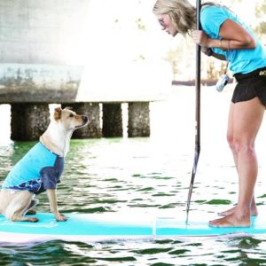 Sup rentals near me, sup rentals, sweetwater sup rentals, sup classes, sup classes near me, best sup classes in san diego, sup rentals in san diego, where to find sup rentals in san diego, sup boarding near me, best sup boarding alternatives near me, sup lessons, sup paddling in san diego, best sup paddling classes in san diego, paddling lessons, sup boarding, sup lessons, classes sociales sup, paddling socials sup, sup socials in San Diego, sup courses near me, stand up paddle boarding, stand up paddle board, inflatable paddle board, stand up paddle board, inflatable sup board, blow up paddle board, paddle board for sale, paddle board for rent, stand up paddle board inflatable, best inflatable paddle board, body glove inflatable paddle board, paddle board rental san diego, paddle boarding san diego, paddle board rental, sun outdoors san diego bay, san diego bay, paddling san diego bay, sup rentals san diego bay, sup rentals mission bay, mission bay sup rentals, mission bay paddle rentals, mission bay paddling,paddle boarding san diego, sup rental, san diego paddle boarding, san diego paddle board, stand up paddle board san diego, paddle board san diego, stand up paddle boarding san diego, san diego kayak rentals, kayak rentals san diego, paddleboard lessons, paddle board rental san diego, san diego paddle board rentals, sup yoga, sup san diego, Sup pups, Sup pups san diego, San diego sup yoga, Sup lesson san diego, Where to paddleboard with your dog , san diego paddleboard lessons, Sup rental san diego, La jolla cove paddleboarding, stand up paddle board lessons san diego, point loma paddleboard rentals, liberty station sup rentals