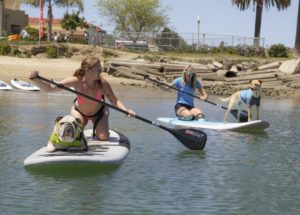 Sup rentals near me, sup rentals, sweetwater sup rentals, sup classes, sup classes near me, best sup classes in san diego, sup rentals in san diego, where to find sup rentals in san diego, sup boarding near me, best sup boarding alternatives near me, sup lessons, sup paddling in san diego, best sup paddling classes in san diego, paddling lessons, sup boarding, sup lessons, classes sociales sup, paddling socials sup, sup socials in San Diego, sup courses near me, stand up paddle boarding, stand up paddle board, inflatable paddle board, stand up paddle board, inflatable sup board, blow up paddle board, paddle board for sale, paddle board for rent, stand up paddle board inflatable, best inflatable paddle board, body glove inflatable paddle board, paddle board rental san diego, paddle boarding san diego, paddle board rental, sun outdoors san diego bay, san diego bay, paddling san diego bay, sup rentals san diego bay, sup rentals mission bay, mission bay sup rentals, mission bay paddle rentals, mission bay paddling,SUP Pups San Diego Southern California