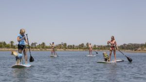 Sup rentals near me, sup rentals, sweetwater sup rentals, sup classes, sup classes near me, best sup classes in san diego, sup rentals in san diego, where to find sup rentals in san diego, sup boarding near me, best sup boarding alternatives near me, sup lessons, sup paddling in san diego, best sup paddling classes in san diego, paddling lessons, sup boarding, sup lessons, classes sociales sup, paddling socials sup, sup socials in San Diego, sup courses near me, stand up paddle boarding, stand up paddle board, inflatable paddle board, stand up paddle board, inflatable sup board, blow up paddle board, paddle board for sale, paddle board for rent, stand up paddle board inflatable, best inflatable paddle board, body glove inflatable paddle board, paddle board rental san diego, paddle boarding san diego, paddle board rental, sun outdoors san diego bay, san diego bay, paddling san diego bay, sup rentals san diego bay, sup rentals mission bay, mission bay sup rentals, mission bay paddle rentals, mission bay paddling, SUP Pups San Diego Southern California