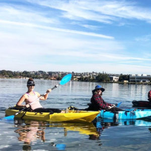 sup boarding near me, best sup boarding alternatives near me, sup lessons, sup paddling in san diego, best sup paddling classes in san diego, paddling lessons, sup boarding, sup lessons, classes sociales sup, paddling socials sup, sup socials in San Diego, sup courses near me, stand up paddle boarding, stand up paddle board, inflatable paddle board, stand up paddle board, inflatable sup board, blow up paddle board, paddle board for sale, paddle board for rent, stand up paddle board inflatable, best inflatable paddle board, body glove inflatable paddle board, paddle board rental san diego, paddle boarding san diego, paddle board rental, sun outdoors san diego bay, san diego bay, paddling san diego bay, sup rentals san diego bay, sup rentals mission bay, mission bay sup rentals, mission bay paddle rentals, mission bay paddling, san diego sup, sup san diego, paddle boarding san diego, sup rental, san diego paddle boarding, san diego paddle board, stand up paddle board san diego, paddle board san diego, stand up paddle boarding san diego, san diego kayak rentals, kayak rentals san diego, paddleboard lessons, paddle board rental san diego, san diego paddle board rentals, sup yoga, sup san diego, Sup pups, Sup pups san diego, San diego sup yoga, Sup lesson san diego, Where to paddleboard with your dog , san diego paddleboard lessons, Sup rental san diego, La jolla cove paddleboarding, stand up paddle board lessons san diego, point loma paddleboard rentals, liberty station sup rentals, Sup rentals near me, sup rentals, sweetwater sup rentals, sup classes, sup classes near me, best sup classes in san diego, sup rentals in san diego, where to find sup rentals in san diego, sup boarding near me, best sup boarding alternatives near me, sup lessons, sup paddling in san diego, best sup paddling classes in san diego, paddling lessons, sup boarding, sup lessons, classes sociales sup, paddling socials sup, sup socials in San Diego, sup courses near me, stand up paddle boarding, stand up paddle board, inflatable paddle board, stand up paddle board, inflatable sup board, blow up paddle board, paddle board for sale, paddle board for rent, stand up paddle board inflatable, best inflatable paddle board, body glove inflatable paddle board, paddle board rental san diego, paddle boarding san diego, paddle board rental, sun outdoors san diego bay, san diego bay, paddling san diego bay, sup rentals san diego bay, sup rentals mission bay, mission bay sup rentals, mission bay paddle rentals, mission bay paddling,